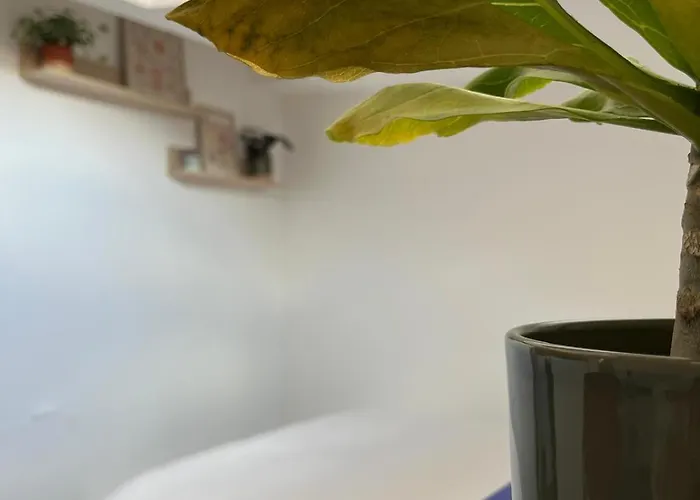 Le Perchoir Toulousain Apartman