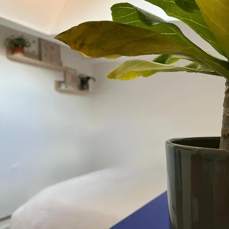 Le Perchoir Toulousain Apartamento